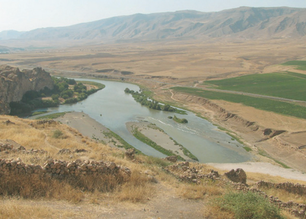Tigris sungai Daniel 10